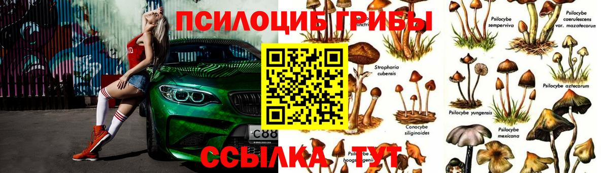 Псилоцибиновые грибы MAGIC MUSHROOMS Нефтеюганск